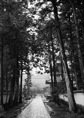 p2007 05 93 21A
