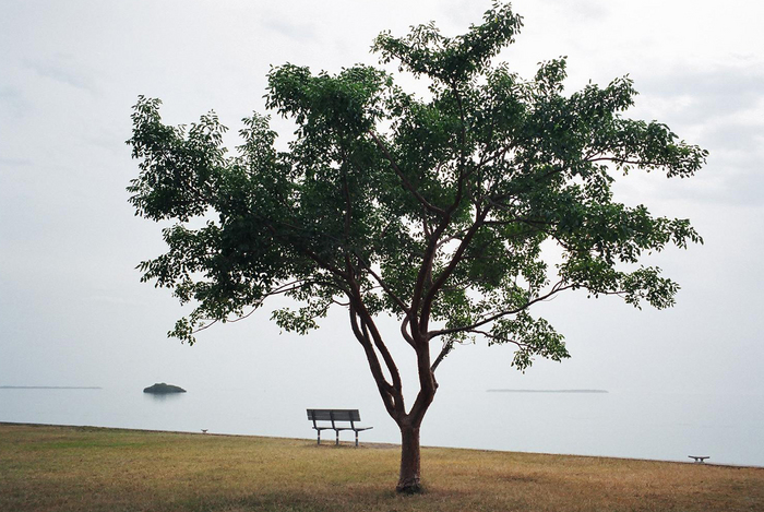 p2005 01b 5Am