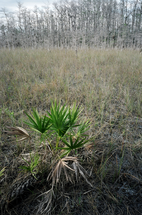 p2005 03b029m