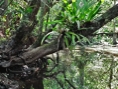 p2005 04f 008m2
