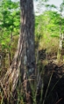 p2005 04f 026m