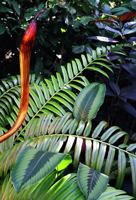 p2007 01a 15m