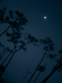 p2007 01 sony 01431d2