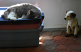 p2007 03 d200 0480m7