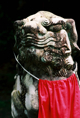 p2007 05 88 23