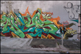 p2009 12 d200 0013m