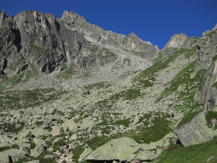 p2009 08canon 2553m