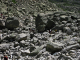 p2009 08canon 2560m