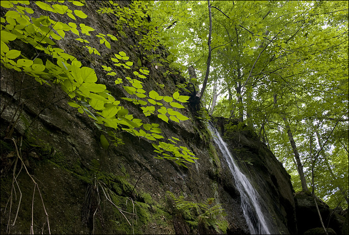 p2010 06 l 02427m