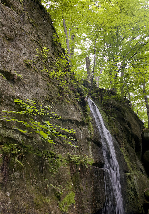 p2010 06 l 02429m