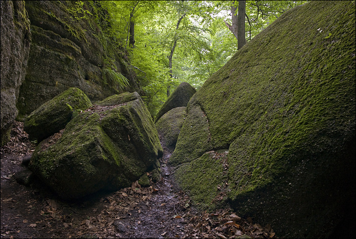 p2010 06 l 02435m