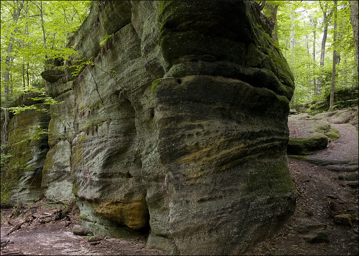 p2010 06 l 02448m