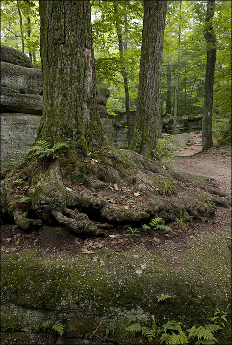 p2010 06 l 02450m