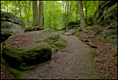 p2010 06 l 02449m