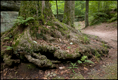 p2010 06 l 02451m