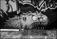 p2010 07 m9 00065bw