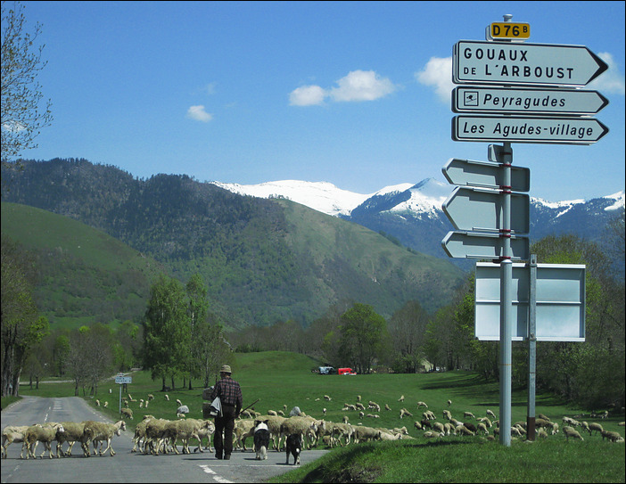 p2010 05 c2 4740m