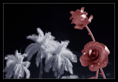 p2012 12 m8 02723m4