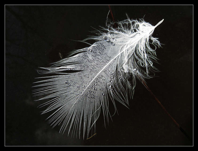 p2012 01 c500 0657m