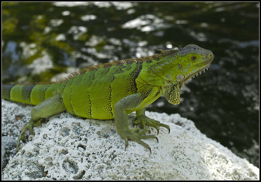p2012 11 m9 30376m