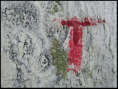 p2012 08 c500 1896p