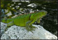 p2012 11 m9 30376m