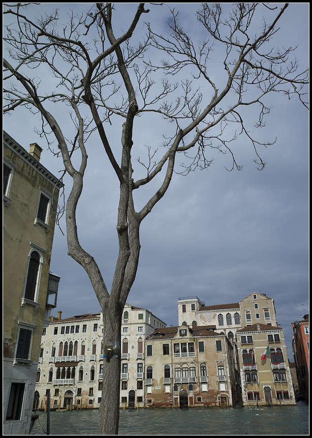 p2013 01 m9 00214m