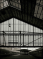 p2010 01 c 3831m2