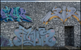 p2009 12 d200 0002m